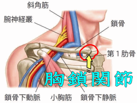 胸鎖関節の亜脱臼について説明