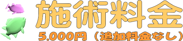 施術料金